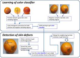 flow chart of apple skin defect download scientific diagram