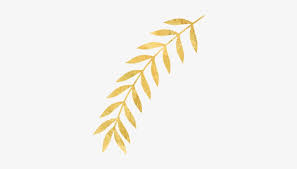 Maple leaf png transparent image. Gold Leaves Png Free Transparent Png Download Pngkey
