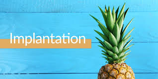 The actual process of implantation. Implantation Is A Delicate Yet Very Important Part Of Getting Pregnant