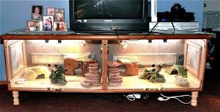 Bearded Dragon Org View Topic We Are Furniture Viv Crazy Bearded Dragon Vivarium Bearded Dragon Enclosure Bearded Dragon