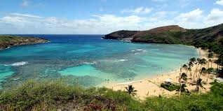 To book a tour, the easiest way is to book online! Amazing Experience Snorkeling In Hanauma Bay Oahu Hawaii Living In Hawaii Moving To Oahu Maui Kauai Big Island