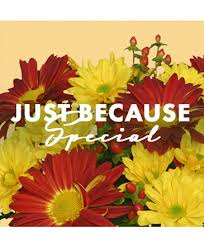 Send just because gifts to show your thoughtfulness. Any Occasion Flowers Apex Nc Dayspring Flowers Gifts Inc