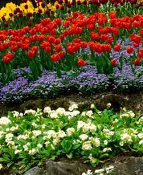 Learn how to schedule a fedex® delivery in roswell, or hold your package for pickup at a nearby fedex. Roswell Ga Seasonal Flowers Alpharetta Planting Programs Dunwoody Seasonal Plantings