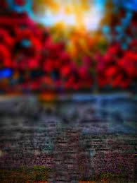 Related Image Blur Image Background Dslr Background Images Background Images Hd