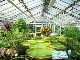 How to choose the right greenhouse power source: Best Greenhouse For Windy Area August 2021 Buyer Guide