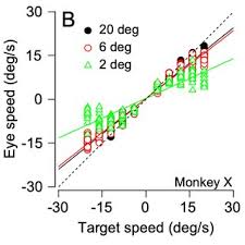 Seth W. Egger's research works
