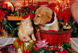 #christmas #puppy and kitten #best fur friends #traditional art #happy holidays. 45 Golden Retriever Christmas Wallpaper On Wallpapersafari