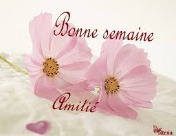 Résultat de recherche d'images pour "bonne semaine"