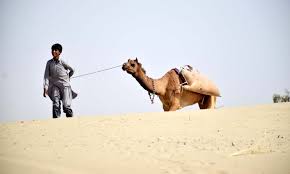 genie, spoken don't they look lovely, june? World Water Day Serves A Stark Reminder On Thar S Thirst Pakistan Dawn Com