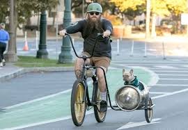 Image result for bicycle sidecar