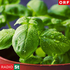 It is broadcast by the orf, and the programs from radio steiermark are made in the orf steiermark studio. Kraeutertipp Podcast Orf Radio Steiermark Listen Notes