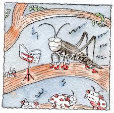 These free crickets sound effects can be downloaded and used for video editing, adobe premiere, foley, youtube videos, plays. Is It True That The Hotter The Night The Louder The Crickets The New York Times