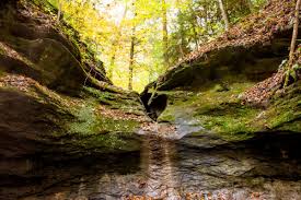 محمية طبيعية في مقاطعة بارك، الولايات المتحدة (ar). Turkey Run Shades Differ In Grades Of Spectacular Bloomington Indiana Tourism Ecotour Nature Scenic Environment