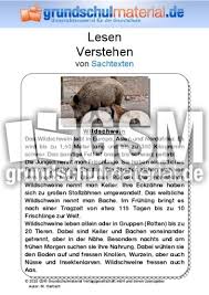 Kostenlose arbeitsblätter und übungen für deutsch in der 3. Wildschwein Sachtext Sachtexte Tiere Sachtexte Lesen Deutsch Klasse 3 Grundschulmaterial De