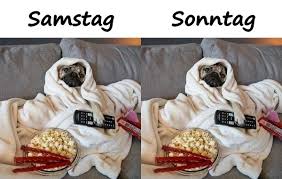 Sonntag Samstag Beste Humor Lustige Spruche Faulheit Xdpedia De 3