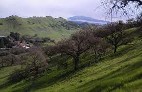 Help · about wikipedia · community portal · recent changes · contact page. Cse Insurance Group Implements Obrien Insurance Solutions For Document Strategy Insurance Innovation Reporter