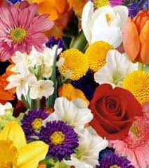 Guaranteed not to disappoint, your recipient will sure to be delighted with their bouquet. Bouquet Of Seasonal Cut Flowers O Connor Florist