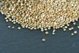 Can Dogs Eat Quinoa What You Need To Know Pet Keen