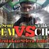 Pancingan ciblek muda bahan ciblek kristal ngebr. Https Encrypted Tbn0 Gstatic Com Images Q Tbn And9gcqehbo8u9ziqc7s Pknpxojcz3vz I0tzkev1gd4gmp5dwcwovs Usqp Cau