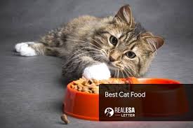 A 100% complete and balanced wet cat food with no. Best Cat Food For Your Cat In 2021 Best Brands