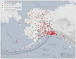 Alaska city, anchorage (799.1 km nne of epicenter) map / not felt : Alaska Earthquake Center S Seismic Network Covers New Ground Alaska Earthquake Center