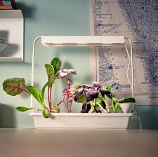 The Ikea Krydda Vaxer Series Allows Consumers To Grow Their Own Plants And Vegetables Inside Without Soil Or Sunlight Hydrocultuur Ikea Hydrocultuur Tuinieren