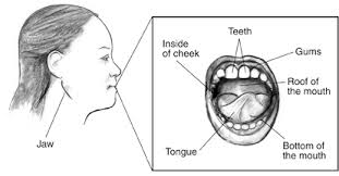 Cavities must be treated by a dentist. Diabetes Gum Disease Other Dental Problems Niddk