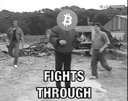Bruce lee hodl bitcoin gif. Bitcoin Meme Gif By Crypto Gifs Memes Crypto Marketing