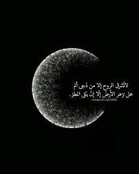 pin by ahmed hassan on fine words arabic quotes arabic love quotes beautiful arabic words