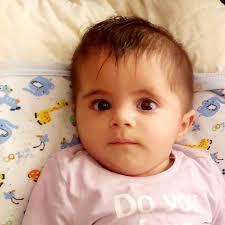 Atef Awad (@atef.awaaad) • Instagram photos and videos