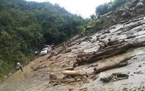 86 putumayo centro agroforestal y acuícola arapaima milton alonso valencia rincon mvalenciar@sena.edu.co 63 quindío centro agroindustrial angelica maría vélez avelezo@sena.edu.co 63 quindío centro para el desarrollo tecnológico de la construcción y la industria evelin juliana olarte briñez ejolarteb@sena.edu.co Denuncian Que El Putumayo Nuevamente Esta Incomunicado El Diario Del Llano