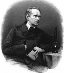 Schleiden suggested that all the different parts of plants are made of however, this theory was later refuted by scientists rudolf virchow, robert remak and albert von kölliker. Schleiden Schwann Found The Cell Theory History Of Information