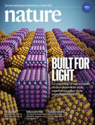 Varied cover illustrations (including some placement text) for nature magazine to accompany client's article on genetics examined at the cell's e развернуть. Volume 593 Nature