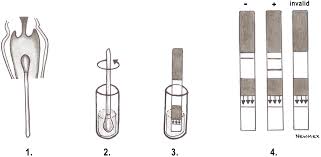 Image result for AmniSure ROM Test