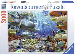 Our customers choose to buy from us for a number of reasons. Amazon Com Ravensburger Oceanic Wonders 3000 Piece Jigsaw Puzzle For Adults Softclick Technology Means Pieces Fit Together Perfectly Varios Toys Games