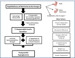 Lefèbvre pj, luyckx as, lecomte m j (1976) studies on the pathogenesis of reactive hypoglycemia: Full Text Hypoglycemia After Upper Gastrointestinal Surgery Clinical Approach T Dmso