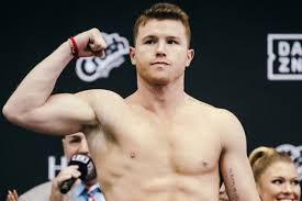 Is betting on the turkish underdog a good idea? Canelo Yildirim Wbc Board Of Governors Votes To Order Super Middleweight Title Fight Boxing News