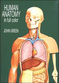 The book is organized by body area and shows common sequences in the progression of a typical workout. Human Anatomy In Full Color Dover Publications 9780486290652