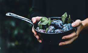 Das fruchtfleisch der zwetschgen ist 5. Zwetschge Warenkunde Backstubchen