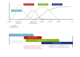 Polymerase chain reaction (pcr) is a method widely used to rapidly make millions to billions of copies of a specific dna sample, allowing scientists to take a very small sample of dna and amplify it to. Imd Labor Greifswald Informationen Fur Firmen Unternehmen Verbande Und Medizinisches Personal