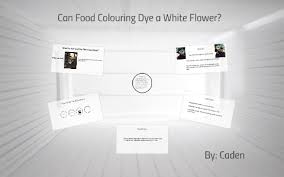 Your kids will love learning about how plants drink water with this simple experiment. Flower Experiment By Caden