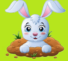 في أحد الأيام انتقلت أرنبة لتعيش في الغابة حيث كانت الأرانب هناك تلعب باستمرار داخل الغابة وفي صباح أحد الأيام تمت دعوة ه in 2021 mario characters character pikachu