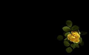We did not find results for: Hd Wallpaper Flower Green Leaves Minimalism Bud Black Background Tea Rose Wallpaper Flare