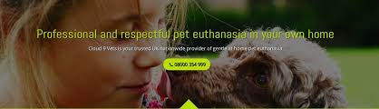 The method used for euthanasia determines. Cloud 9 Vets Linkedin