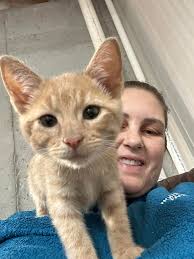 Adorable goodbye to sweet cuddly Butter