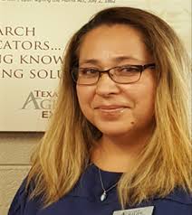 Extension in the City August 2023