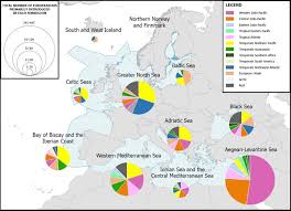 European Flag European Commission Brussels 25 6 2020 Swd 2020 61 Final Commission Staff Working Document Review Of The Status Of The Marine Environment In The European Union Towards Clean Healthy And Productive Oceans And
