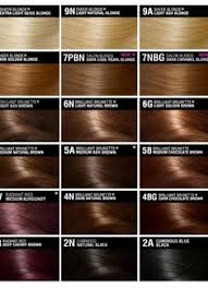 14 Best Loreal Hair Color Chart Images In 2019 Loreal Hair