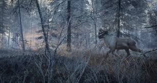 скачать игру The Hunter Call Of The Wild бесплатно The Hunter Call Of The Wild Medved Taiga Mission Caves Location Forest And Wildlife Call Of The Wild Animals Wild