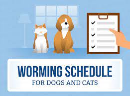 Looking for some advice on puppy worming please. Worming Schedules For Cats Dogs Canna Pet